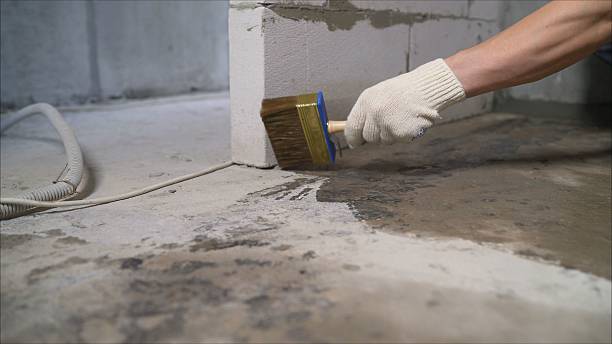 24/7 Emergency Crawl Space Encapsulation experts in Grandview, WA